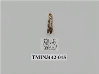 藏品(螟蛾289)的圖片